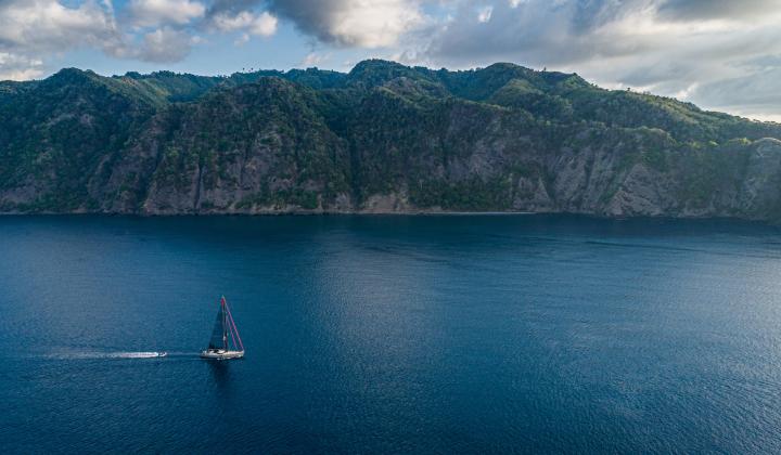 oyster sailing in tropical destination